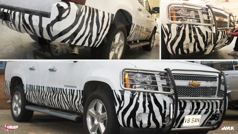 vinyl-vehicle-striping-zebra-stripes-graphics